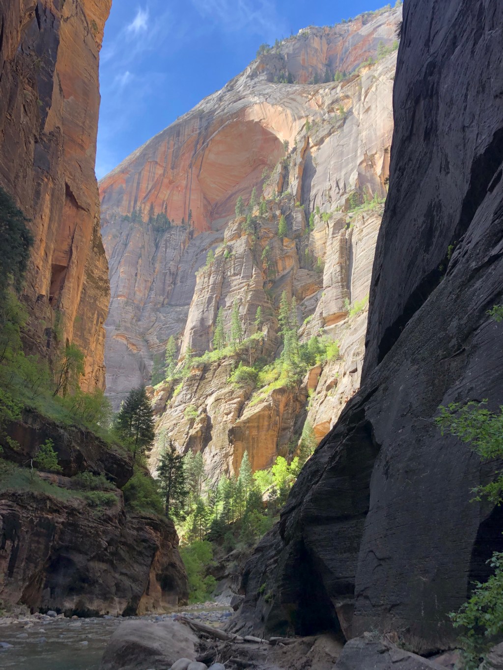 Zion Narrows | Utah (09.2021)