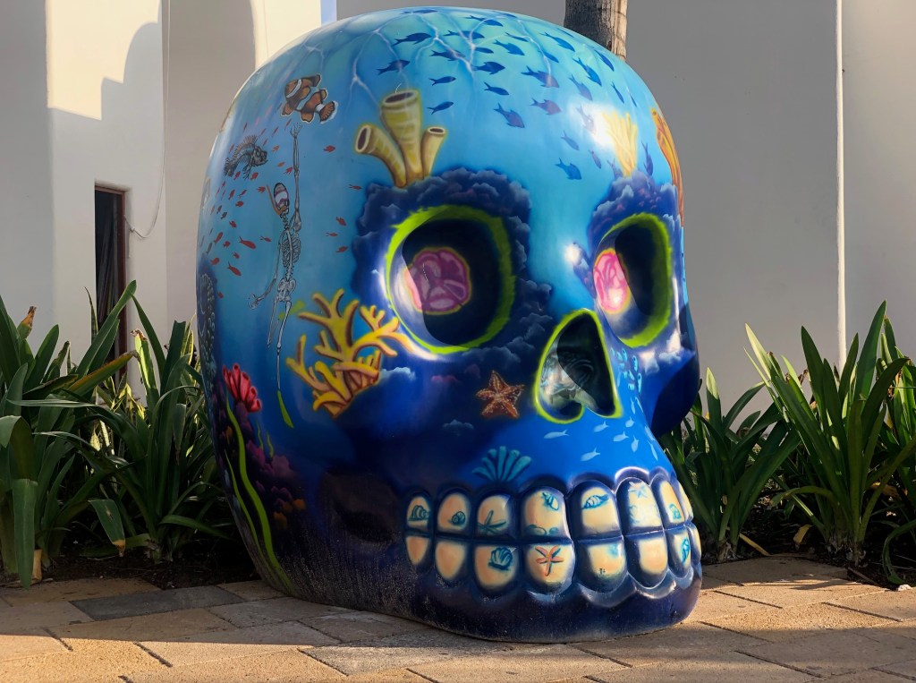 Playa del Carmen | Mexico (01.2023)