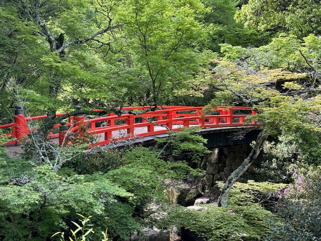 Momiji Bridge | Miyajima (May 2024)