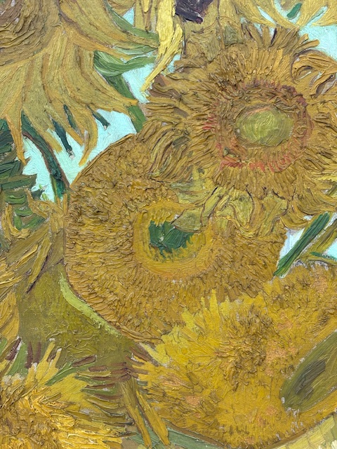 Van Gogh Sunflower (August 2025)